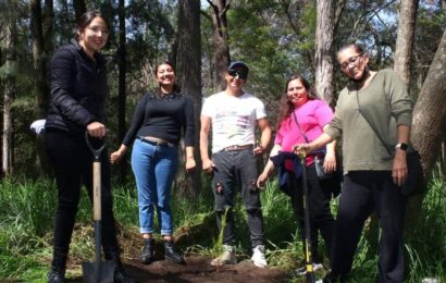 El Ayuntamiento de Chiautempan planta más de 500 árboles