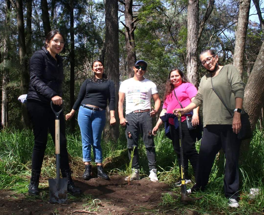 El Ayuntamiento de Chiautempan planta más de 500 árboles