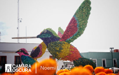 Amados por Siempre Tlaxcala 2024: Visítalo Ya