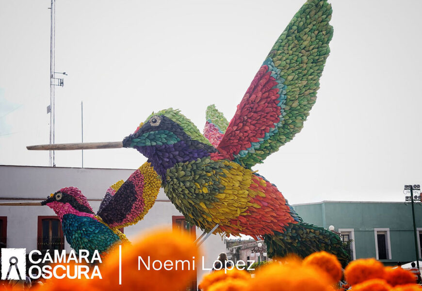 Amados por Siempre Tlaxcala 2024: Visítalo Ya