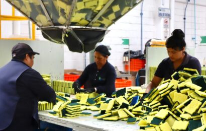 Empleos formales en Tlaxcala crecen 3.12% en octubre 2024