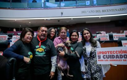 Ana Lilia Rivera impulsa protección animal en México