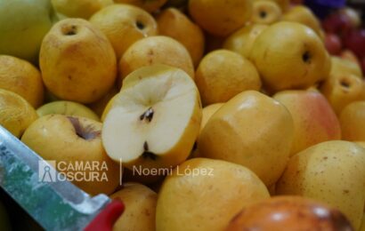 Ponche de frutas bebida tradicional Navideña