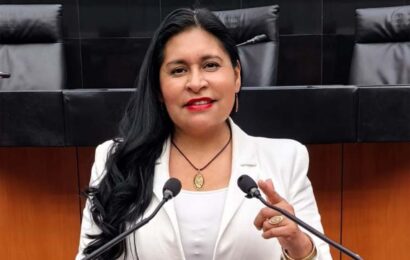 Senadora respalda ley para garantizar internet seguro