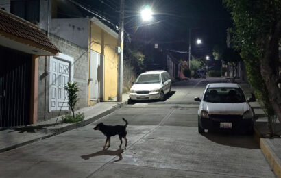 Intento de robo frustrado en Tlaxcala