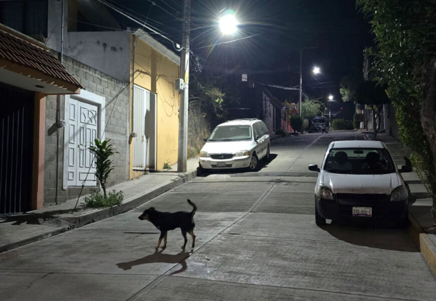 Intento de robo frustrado en Tlaxcala