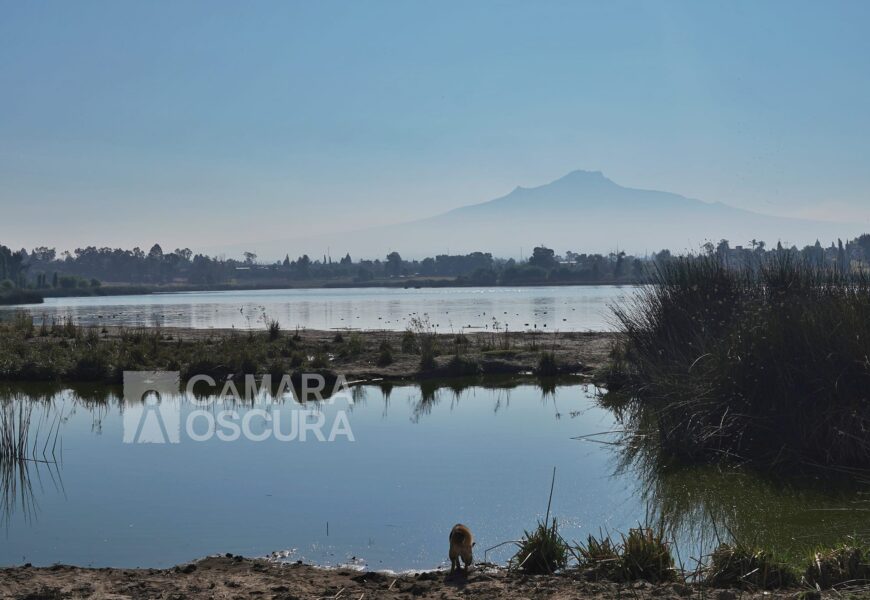 Presentan estrategia para conservar la Laguna de Acuitlapilco