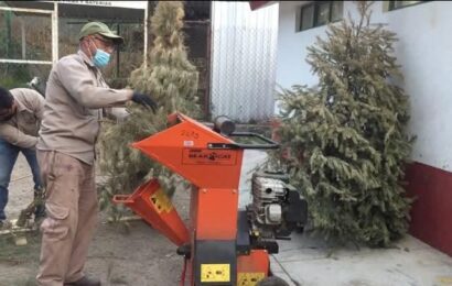 Recicla tu Árbol de Navidad: campaña SMA 2025