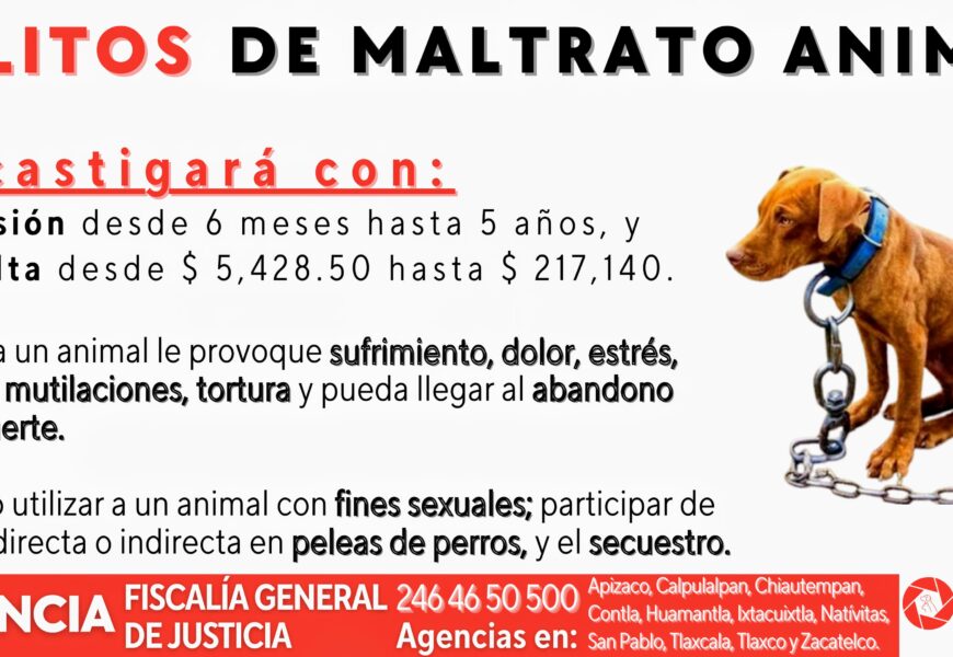 Delitos de maltrato animal en Tlaxcala: sanciones y cómo denunciarlos