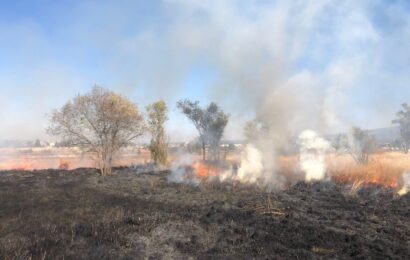 Protección Civil de Tlaxcala atiende incendios de pastizales