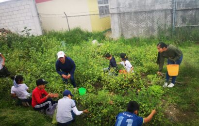 Huertos escolares promueven alimentación saludable