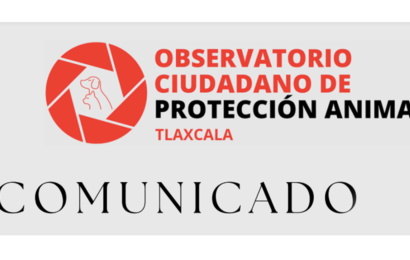 Exigen justicia por caso de maltrato animal en Tlaxcala
