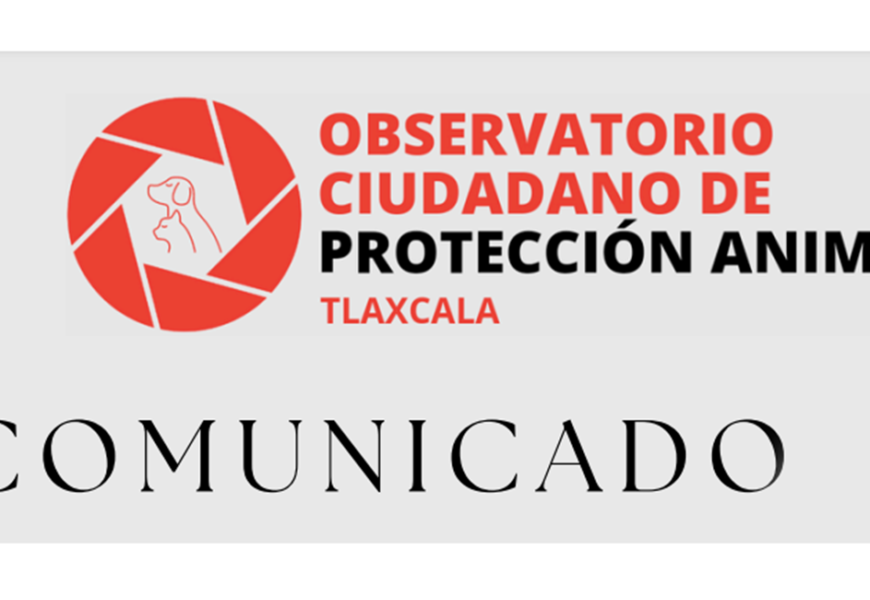 Exigen justicia por caso de maltrato animal en Tlaxcala