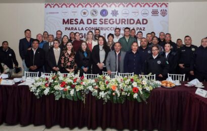Seguridad en Apizaco: Estrategias para la paz