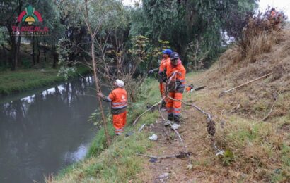 Alcalde de Tlaxcala encabeza jornada ambiental