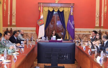 Tlaxcala refuerza lucha contra tala ilegal