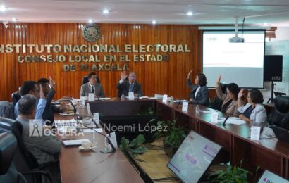 INE analiza candidatos a observadores electorales  que incumplen requisitos
