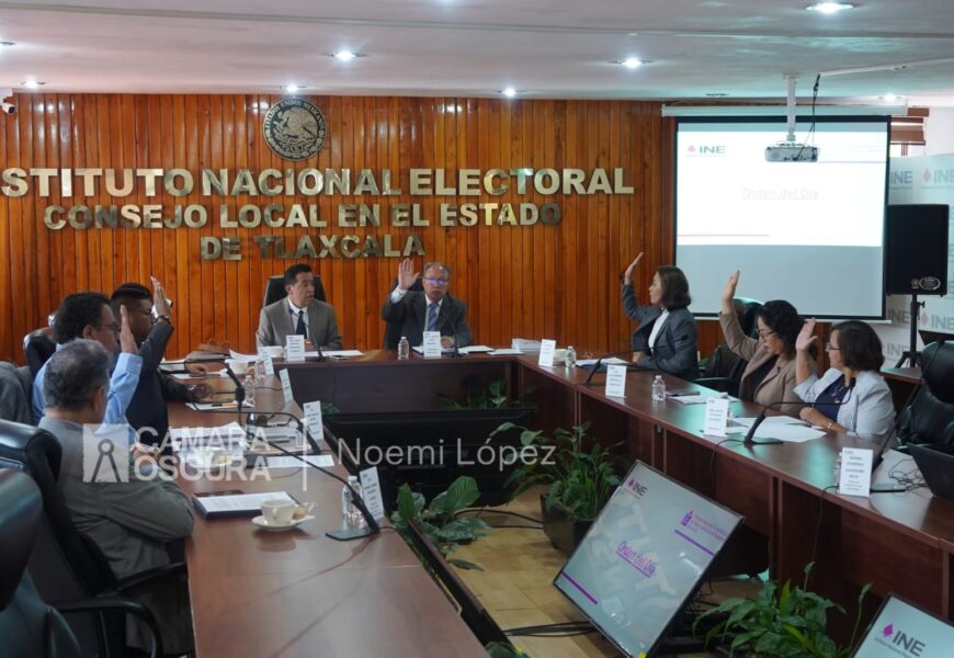 INE analiza candidatos a observadores electorales  que incumplen requisitos