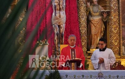 Mensaje de misericordia en Domingo de Ramos