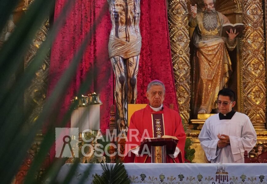 Mensaje de misericordia en Domingo de Ramos