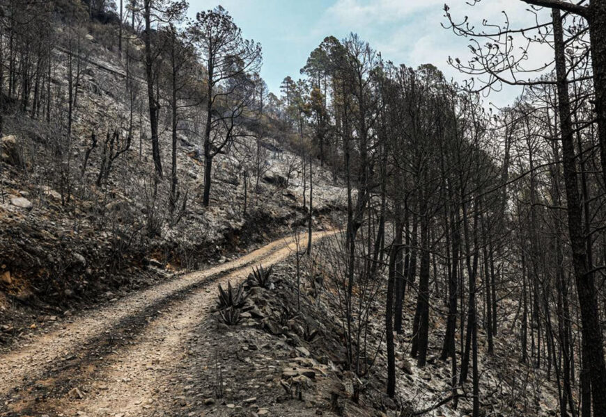 Avance en control del incendio en Atltzayanca