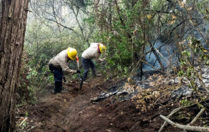 El incendio en Atltzayanca: agilizan respuesta