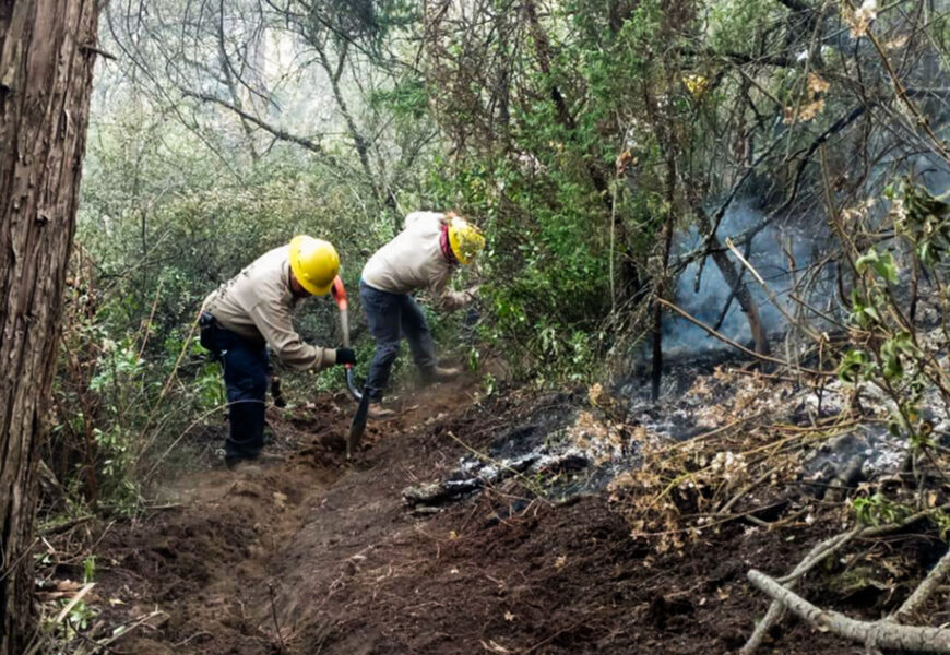 El incendio en Atltzayanca: agilizan respuesta