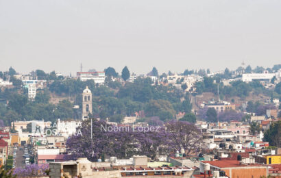 Declaran contingencia ambiental en 11 municipios de Tlaxcala