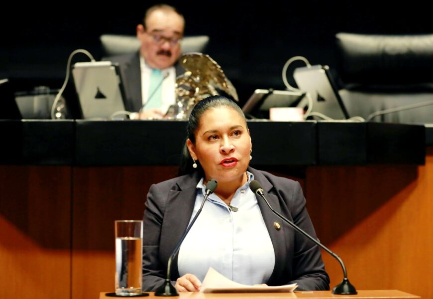 Senadora propone mayores sanciones por tala ilegal