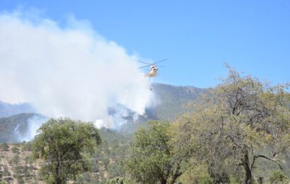 Incendio forestal en Atltzayanca: gestionan apoyo aéreo