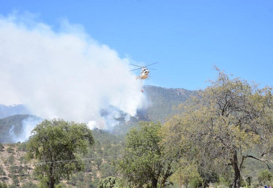 Incendio forestal en Atltzayanca: gestionan apoyo aéreo Incendio forestal en Atltzayanca: gestionan apoyo aéreo
