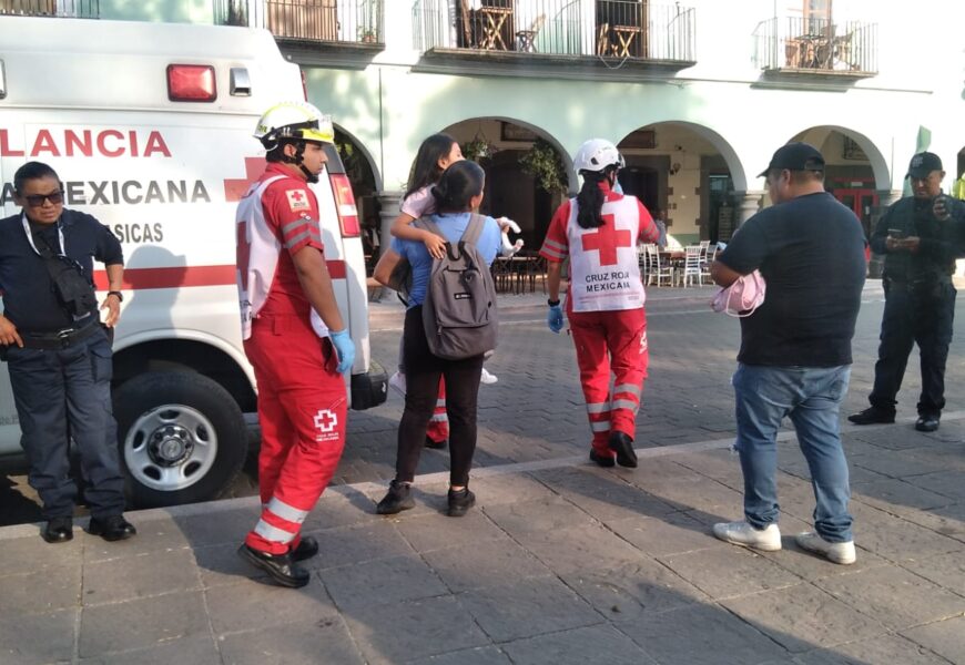 Posicionamiento del Ayuntamiento de Tlaxcala ante incidente con canes en el Zócalo capitalino