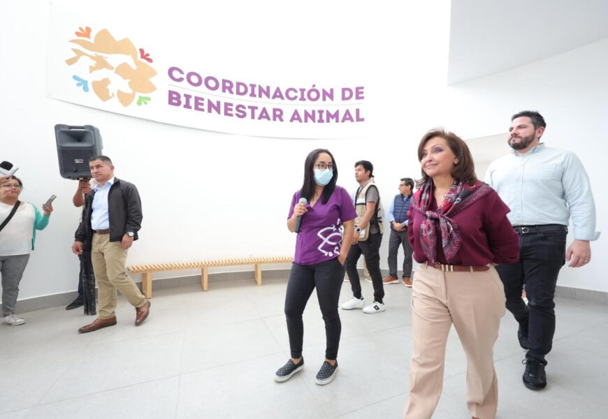 Clínica de Bienestar Animal ofrecerá servicios accesibles para mascotas