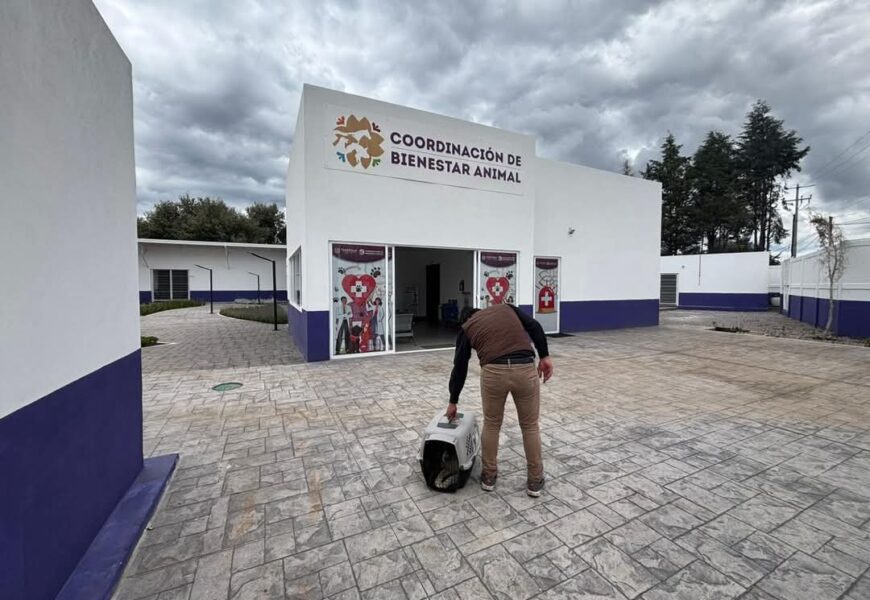 Maltrato animal en Tlaxcala moviliza a Propaet