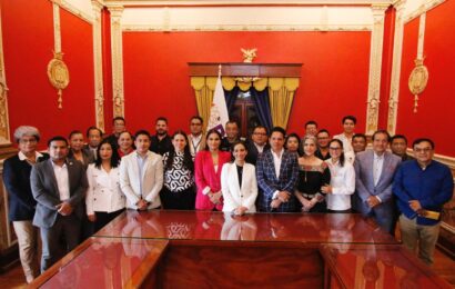 Comité de Atención a Personas con Discapacidad aprobó plan 2025