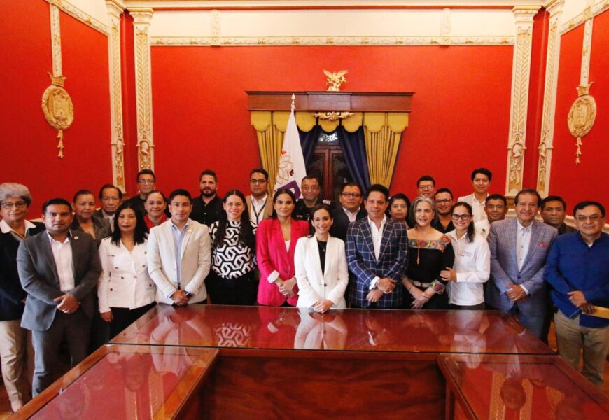 Comité de Atención a Personas con Discapacidad aprobó plan 2025