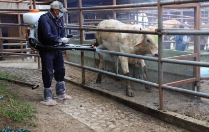 El Simulacro AUTOSIM II fortalece medidas de prevención ante el Gusano Barrenador