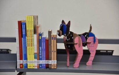 Diplomado de Creación Literaria lanza convocatoria 2025