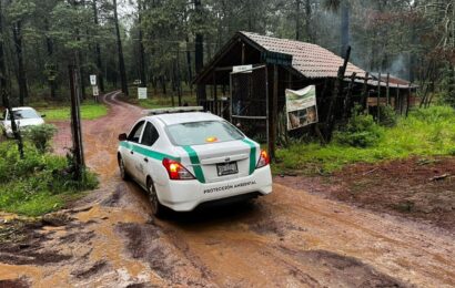 Avistamiento de luciérnagas en Tlaxcala inicia con vigilancia ambiental