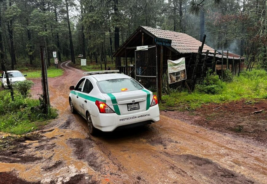 Avistamiento de luciérnagas en Tlaxcala inicia con vigilancia ambiental