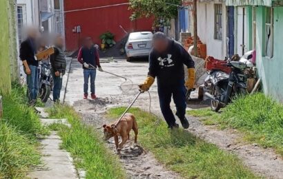 Bienestar animal en Tlaxcala, prioridad local