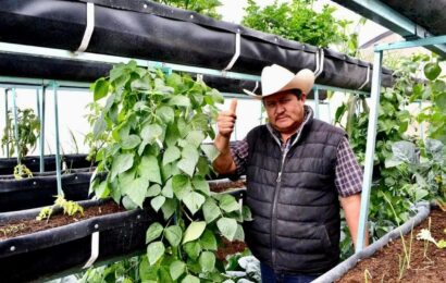 Capacitación agropecuaria en Tlaxcala impulsa desarrollo rural