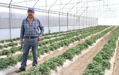 Créditos Fomtlax a MiPyMEs impulsan economía familiar en Tlaxcala