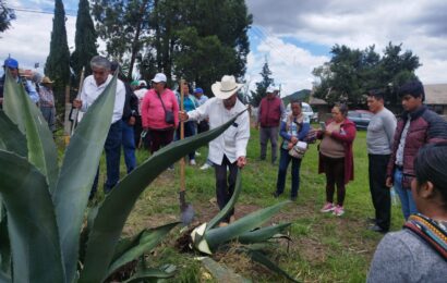 Buenas prácticas agrícolas fortalecen el manejo sustentable en Tlaxcala