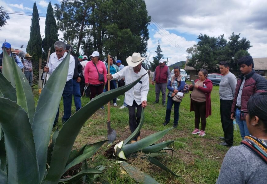 Buenas prácticas agrícolas fortalecen el manejo sustentable en Tlaxcala