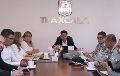 Tala clandestina Tlaxcala preocupa al gobierno