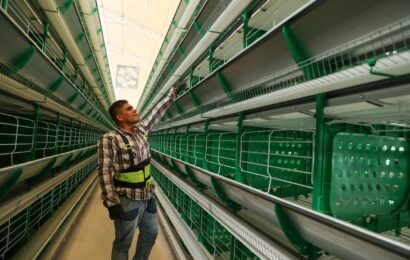 Censos Económicos 2024 destacan crecimiento en Tlaxcala