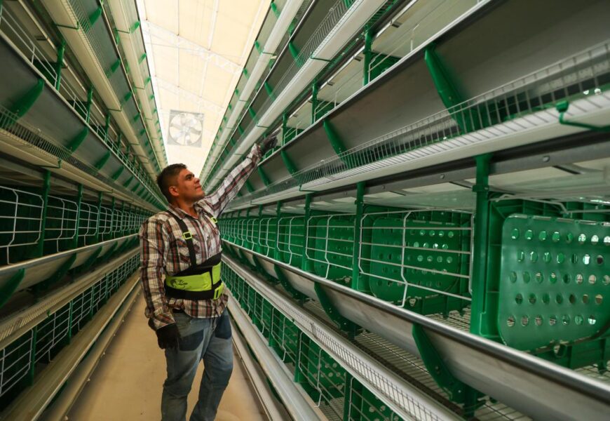 Censos Económicos 2024 destacan crecimiento en Tlaxcala
