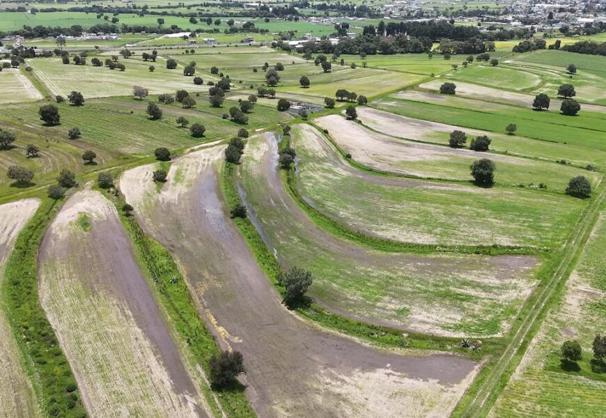 Programa emergente para cultivos apoya a productores afectados por lluvias Programa emergente para cultivos apoya a productores afectados por lluvias