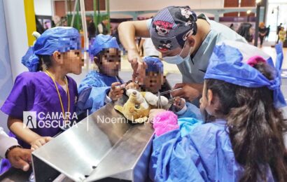 Ciudad de las y los Niños Tlaxcala ofrece diversión y aprendizaje gratuito